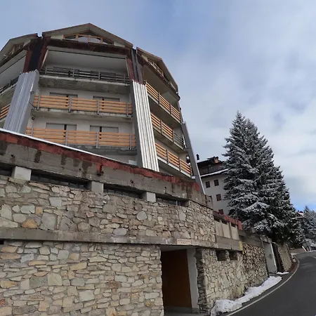 Stella Alpina -