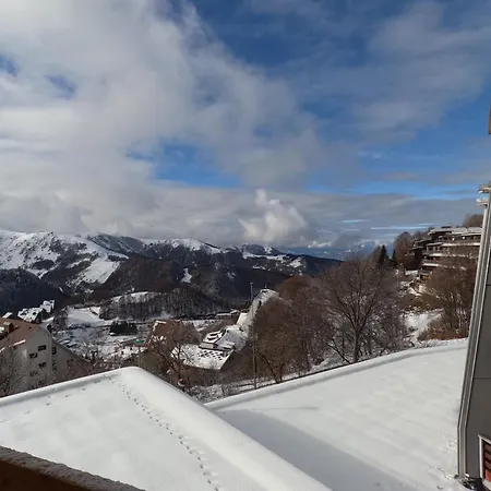 Stella Alpina - *